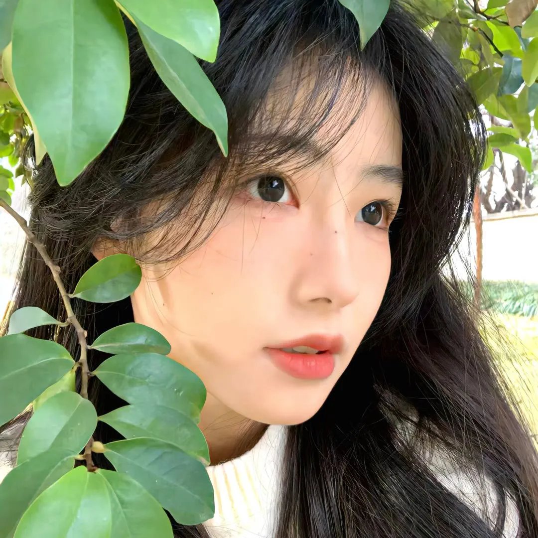 三生缘起是清欢